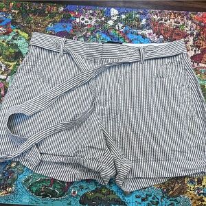 Banana Republic Striped Blue and White Shorts